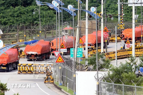 Ảnh tư liệu: Xe chở gạo của Hàn Quốc đi qua trạm kiểm soát ở thành phố biên giới liên Triều Paju để vào Triều Tiên. (Nguồn: AFP/ TTXVN)