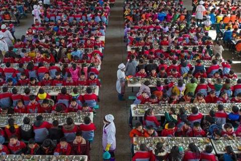 Học sinhmột trường học ở Trung Quốc trong giờ ăn. (Nguồn: AFP) 