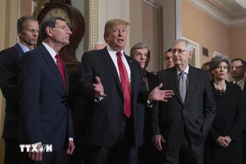 Tổng thống Mỹ Donald Trump (thứ 2, trái, phía trước) trong cuộc gặp các nghị sỹ Quốc hội ở Washington DC., ngày 9/1/2019. (Nguồn: AFP/TTXVN)