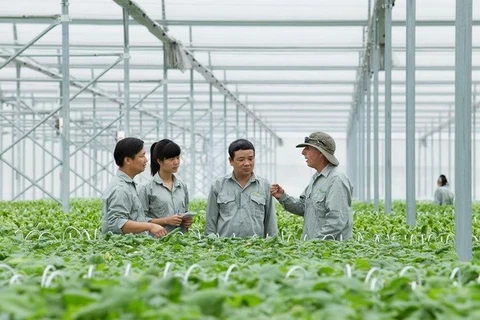 Hà Nội muốn hợp tác với Quỹ châu Á về sản xuất nông nghiệp đô thị