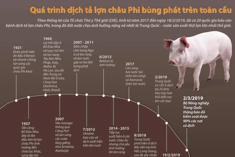 [Infographics] Quá trình dịch tả lợn châu Phi bùng phát trên toàn cầu