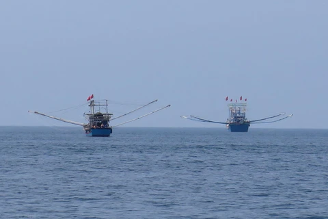 Tàu cá Việt Nam khai thác hải sản trên biển. Ảnh minh họa. (Nguồn: TTXVN)