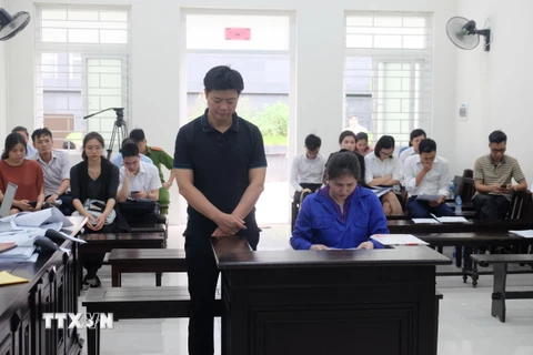 Hai vợ chồng bị cáo Trần Thị Ngọc Mai và Nguyễn Thành Long tại phiên tòa. (Ảnh: Kim Anh/TTXVN)