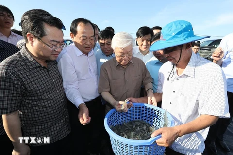 Hình ảnh Tổng Bí thư, Chủ tịch nước làm việc ở Kiên Giang
