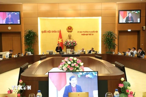 Phó Chủ tịch Thường trực Quốc hội Tòng Thị Phóng phát biểu ý kiến thảo luận. (Ảnh: Dương Giang/TTXVN)
