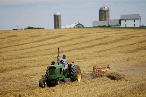 Một nông dân thu hoạch trên cánh đồng của mình tại trang trại ở Pecatonica, Illinois, Mỹ. (Nguồn: Reuters)
