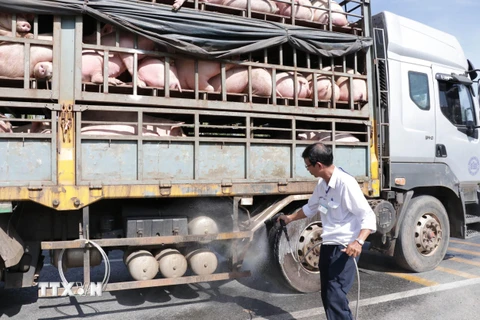 Cán bộ thú y phun thuốc tiêu độc, sát trùng phương tiện vận chuyển lợn. (Ảnh Công Trí/TTXVN)