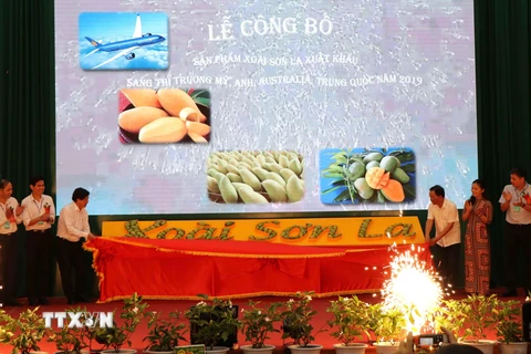 Lãnh đạo Bộ Nông nghiệp và Phát triển nông thôn, tỉnh Sơn La, doanh nghiệp xuất khẩu và hợp tác xã có xoài xuất khẩu thực hiện nghi thức công bố sản phẩm xoài xuất khẩu năm 2019. (Ảnh: Nguyễn Cường/TTXVN)