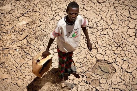 Hạn hán ở Somalia. (Nguồn: africanews.com)