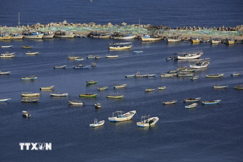 Tàu đánh bắt cá của Palestine tại cảng Gaza trên Địa Trung Hải ngày 10/5. (Nguồn: AFP/TTXVN)
