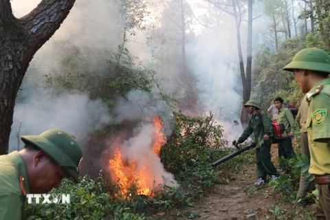 Lực lượng chức năng nỗ lực khống chế đám cháy rừng ở huyện Nghi Xuân, Hà Tĩnh, sáng 29/6. (Ảnh: Hoàng Ngà/TTXVN)