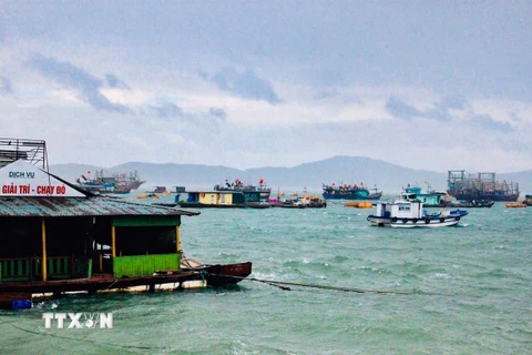 Tại đảo Cô Tô, hơn 500 tàu thuyền đang neo đậu. (Nguồn: TTXVN phát)