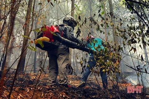 Các lực lượng chức năng tham gia chữa cháy rừng ở núi Nầm, Hà Tĩnh. (Nguồn: Báo Hà Tĩnh)