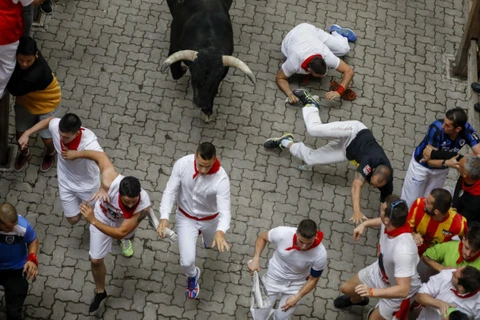 Thót tim xem cảnh rượt đuổi ở lễ hội chạy đua với bò tót San Fermin