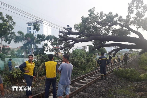 Lực lượng chức năng đến hiện trường cắt bỏ cây xanh ngã đổ để thông tuyến đường sắt Bắc-Nam. (Ảnh: Sỹ Tuyên/TTXVN)
