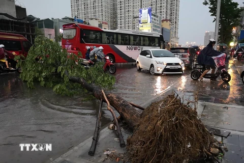 Mưa lớn đúng giờ tan tầm, Hà Nội ngập nặng, giao thông hỗn loạn