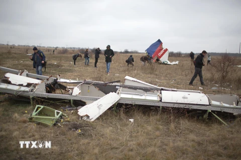 Xác máy bay MH17 của Hãng hàng không Malaysia Airlines bị bắn rơi gần làng Grabove, cách Donetsk, miền Đông Ukraine khoảng 80km, tháng 11/2014. (Nguồn: AFP/TTXVN)