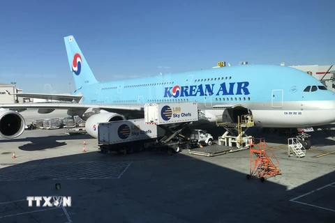 Máy bay của hãng hàng không Korean Air. (Nguồn: AFP/TTXVN)