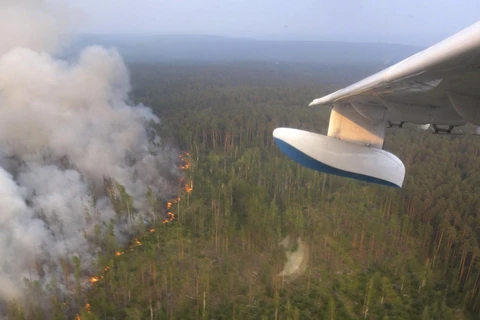 Đám cháy rừng đang ngày càng lan rộng ở vùng Siberia. (Nguồn: AP)