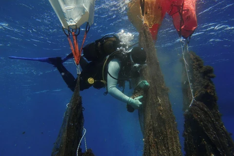 Trục vớt túi nylon rác thải từ dưới biển ở ngoài khơi đảo Andros của Hy Lạp. (Nguồn: Reuters)