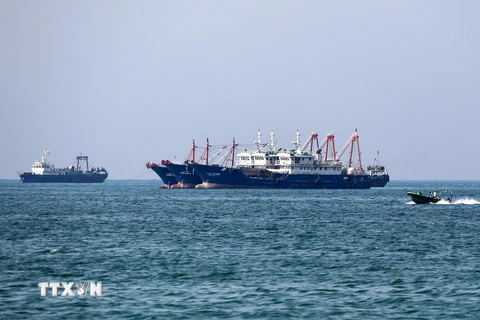 Các tàu chở hàng đi qua vùng Vịnh. (Nguồn: AFP/TTXVN)