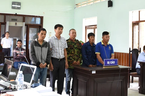 5 bị cáo tại phiên tòa phúc thẩm do Tòa án nhân dân tỉnh Kon Tum xét xử. (Ảnh: Quang Thái/TTXVN)