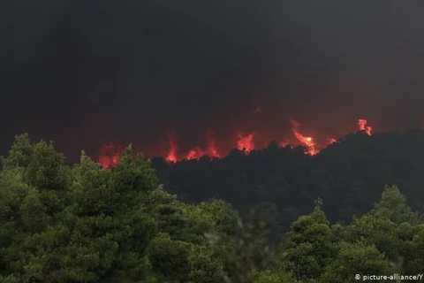 Đám cháy rừng trên đảo Evia của Hy Lạp. (Nguồn: dw.com)