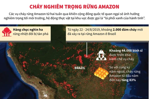 Cháy rừng Amazon ngày càng diễn ra nghiêm trọng và lan rộng hơn