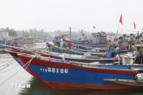 Thừa Thiên-Huế cấm tàu, thuyền hoạt động trên biển và cửa sông. (Nguồn: TTXVN)