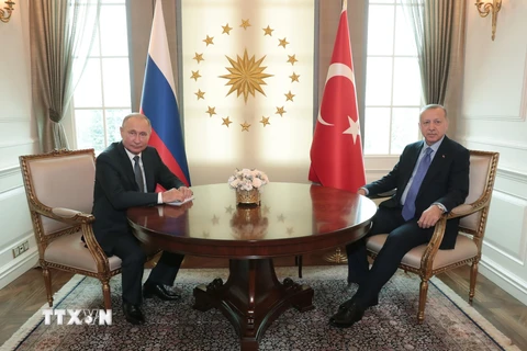 Tổng thống Thổ Nhĩ Kỳ Recep Tayyip Erdogan (phải) trong cuộc hội đàm với Tổng thống Nga Vladimir Putin đang ở thăm Ankara ngày 16/9/2019. (Nguồn: AFP/TTXVN)