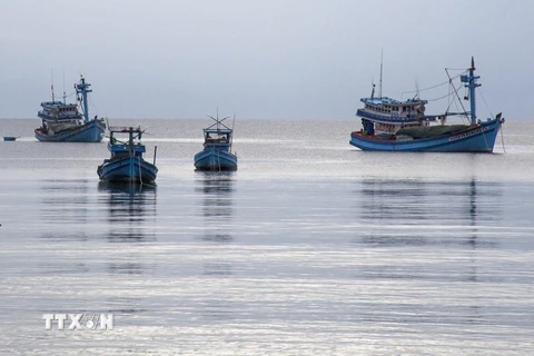 Tàu cá của ngư dân neo đậu trên vùng biển huyện đảo Phú Quốc (Kiên Giang). (Ảnh: Hồng Đạt/TTXVN)