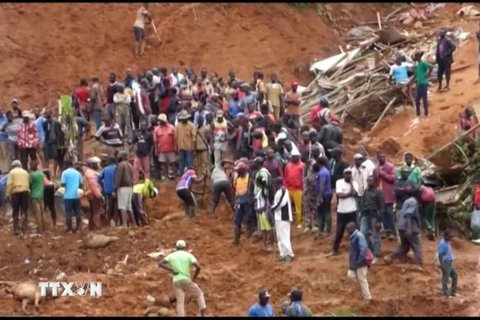 Lực lượng cứu hộ tìm kiếm các nạn nhân tại hiện trường vụ lở đất ở Bafoussam, Cameroon, ngày 29/10/2019. (Nguồn: AFP/ TTXVN)