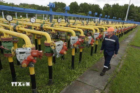Công nhân kiểm tra các thiết bị của hệ thống đường ống dẫn khí đốt Dashava ở Striy, ngoại ô Lviv, Ukraine. (Nguồn: AFP/TTXVN)