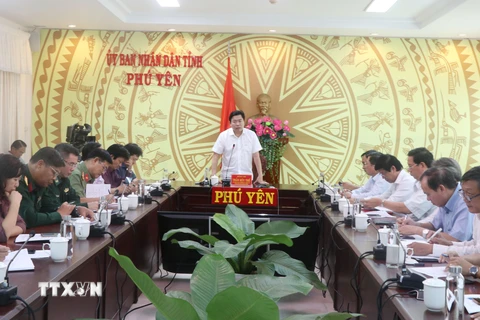 Phó Chủ tịch Ủy ban Nhân dân tỉnh Phú Yên Trần Hữu Thế phát biểu tại buổi làm việc. (Ảnh: Phạm Cường/TTXVN)