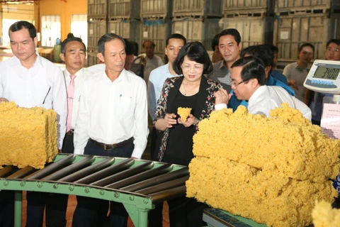 Phó Chủ tịch nước Đặng Thị Ngọc Thịnh và đoàn công tác thăm nhà máy chế biến mủ cao su của Tổng Công ty Cao su Đồng Nai. (Ảnh: Sỹ Tuyên/TTXVN)
