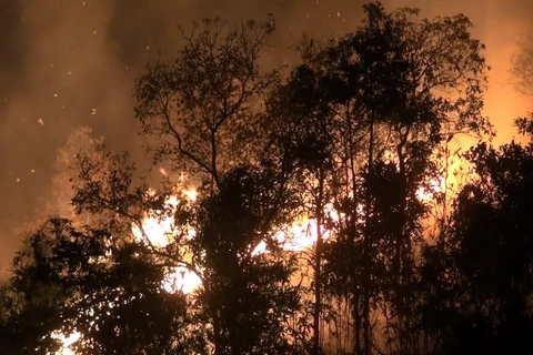 Hiện trường đám cháy tại bản Noong Luống A1, xã Noong Luống, huyện Điện Biên. (Ảnh: Phan Tuấn Anh/TTXVN) 