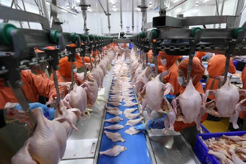 Dây chuyền chế biến thịt gà của nhà máy Công ty cổ phần Chăn nuôi C.P. Việt Nam. (Ảnh: Vũ Sinh/TTXVN)
