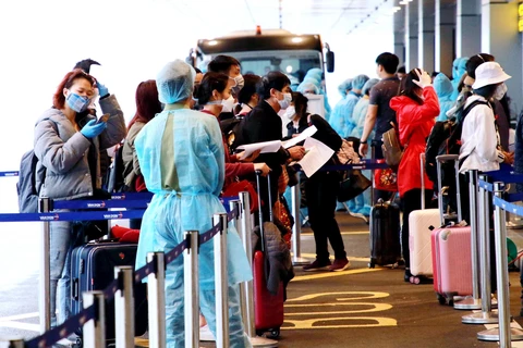 Công dân Việt Nam từ Frankurt (Đức) trở về nước đang làm thủ tục tại Sân bay Vân Đồn. (Nguồn: TTXVN/phát)