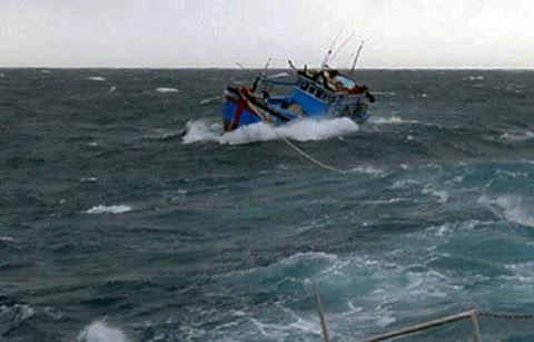 Quảng Ngãi: Kịp thời cứu sống 3 ngư dân bị chìm tàu trên biển