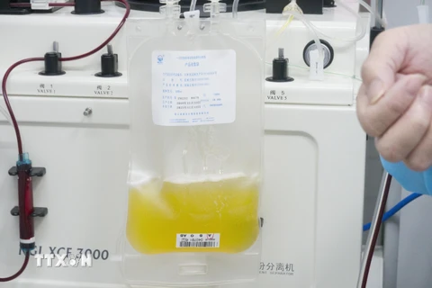 Huyết tương của bệnh nhân mắc COVID-19 đã được chữa khỏi, tại Vũ Hán, tỉnh Hồ Bắc, Trung Quốc, ngày 17/2/2020. (Nguồn: THX/TTXVN)