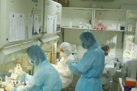 Nhân viên Viện Pasteur Thành phố Hồ Chí Minh miệt mài trong phòng xét nghiệm tìm virus SARS-CoV-2. (Ảnh: Đinh Hằng/TTXVN)