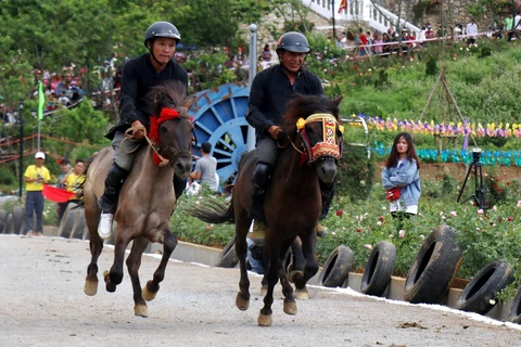 Các nài ngựa thi đấu trong ngày khai mạc giải đua ngựa Fansipan với chủ đề "Vó ngựa trên mây" tháng 6/2019. (Ảnh: Quốc Khánh/TTXVN)