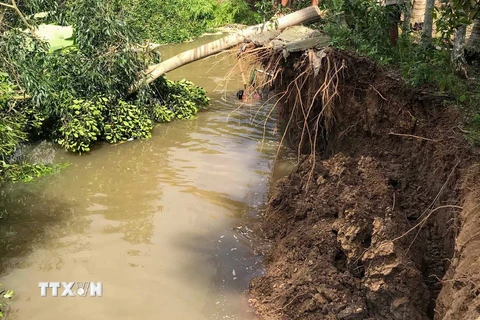 Vụ sạt lở làm tuyến đường giao thông qua khu vực Khánh Hưng, phường Phú Thứ, quận Cái Răng bị sụp xuống sông, giao thông bị chia cắt. (Nguồn: TTXVN)