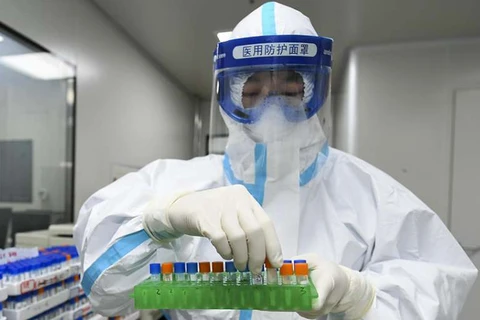 Một nhân viên y tế xử lý các mẫu xét nghiệm axit nucleic tại Phòng thí nghiệm y tế ở Trường Sa, Trung Quốc. (Nguồn: Getty Images)