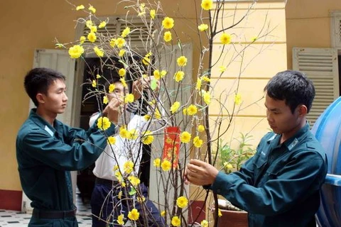 Chiến sỹ đảo Trường Sa Lớn trang hoàng để chuẩn bị đón xuân Giáp Ngọ. (Ảnh: Thế Duyệt/TTXVN)