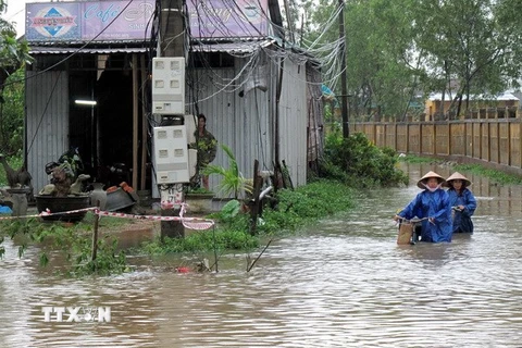 Pháp cho Việt Nam vay 20 triệu euro để ứng phó biến đổi khí hậu 