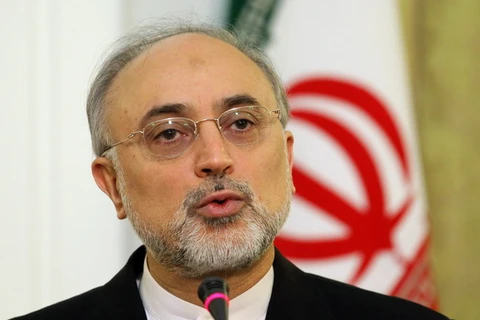 Giám đốc Cơ quan Năng lượng Nguyên tử Iran Ali Akbar Salehi. (Nguồn: presstv.ir)