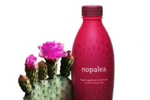 Nước giải khát từ cây xương rồng Nopal. (Nguồn:onlynaturalinc.com