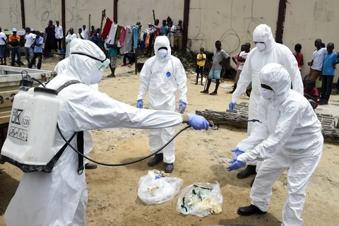 Hàn Quốc sẽ cử đoàn hỗ trợ y tế tới Tây Phi để chống dịch Ebola