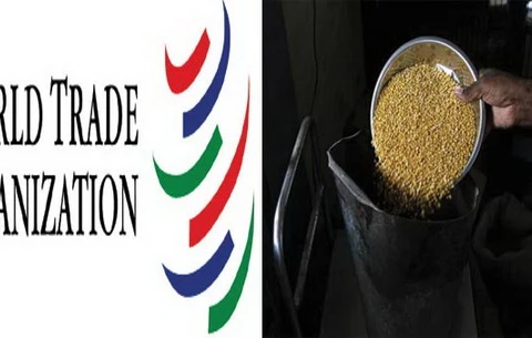 WTO: Hiệp định thuận lợi hóa thương mại còn nhiều bế tắc